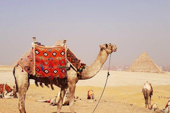 Airport Transfer + tour inside Giza pyramids, Sphinx and Valley temple - Why This Tour Offers Excellent Value