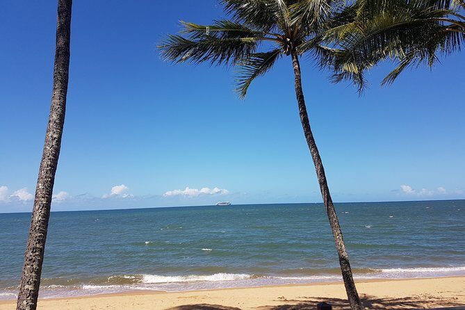 Airport Transfers between Cairns Airport and Palm Cove - Frequently Asked Questions