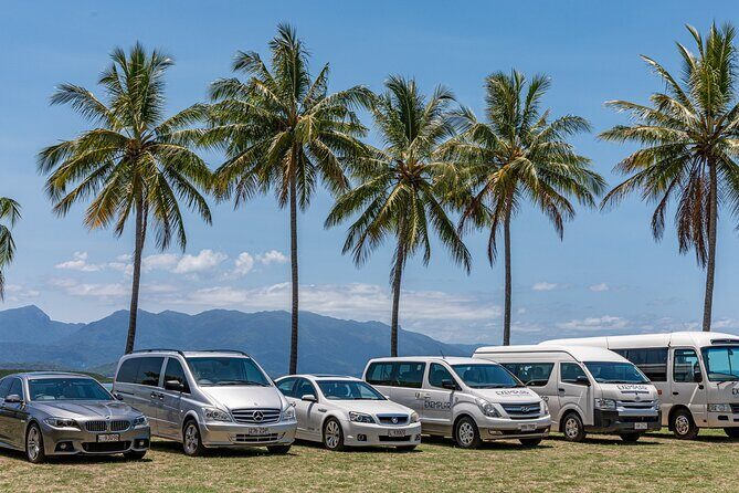 Airport Transfers between Cairns Airport and Port Douglas - What to Expect from the Cairns to Port Douglas Transfer
