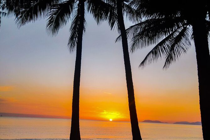Airport Transfers between Cairns Airport and Port Douglas - Practical Tips for Travelers
