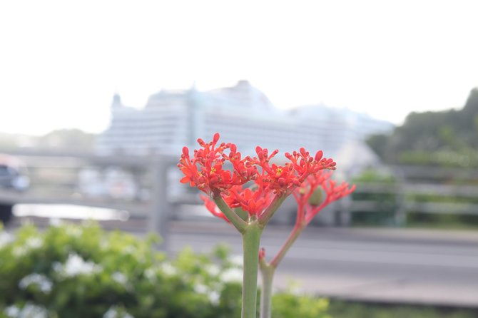 airport-transfers-hewanorra-international-airport-ufv-one-way