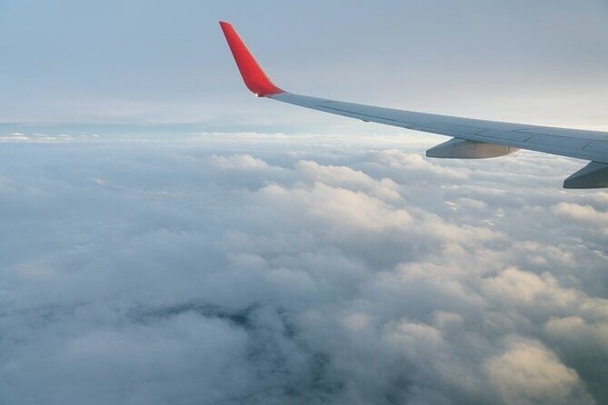 Airport Transfers Johannesburg - A Closer Look at the Johannesburg Airport Transfer Experience  