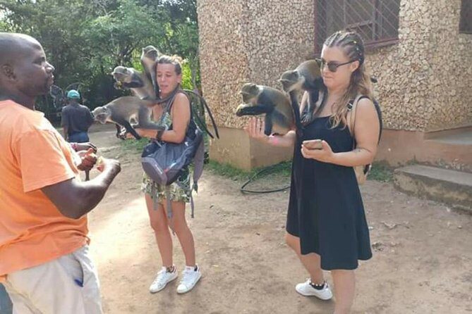 Airport Transfers to Watamu and Malindi - Authentic Experiences & Common Concerns from Reviews
