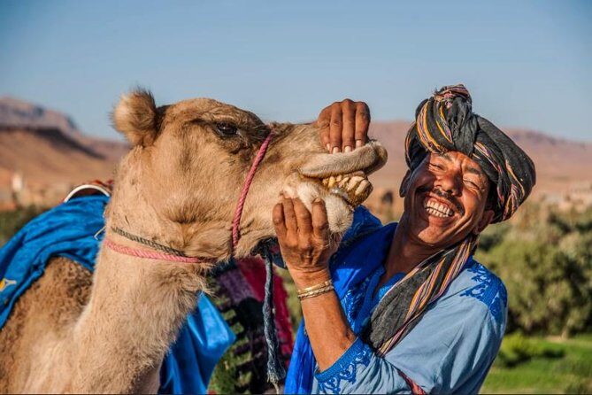 Ait ben haddou and Ouarzazate day trip - The Itinerary in Detail