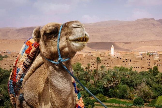 Ait ben haddou and Ouarzazate day trip - Frequently Asked Questions