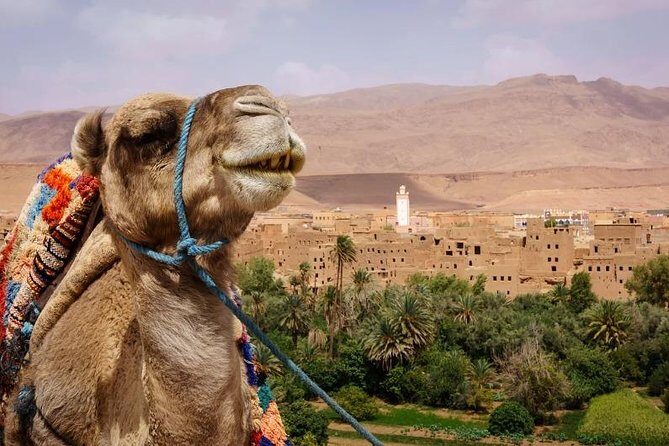 Ait ben haddou and Ouarzazate day trip from Marrakech - Key Points