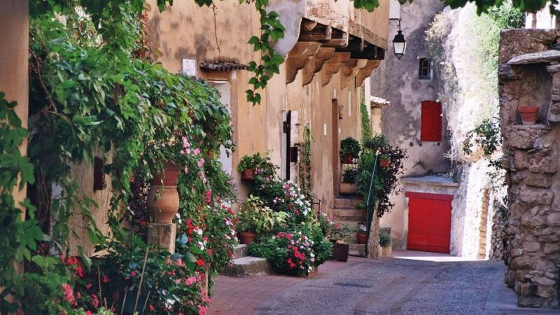 aix-en-provence-and-avignon-city-of-popes-private-tour-2