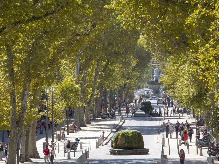 aix-en-provence-and-avignon-city-of-popes-private-tour-2