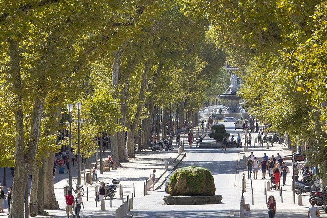 aix-en-provence-and-wine-tasting-private-full-day-tour