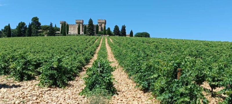aix-en-provence-avignon-tour-chateauneuf-du-pape-tasting
