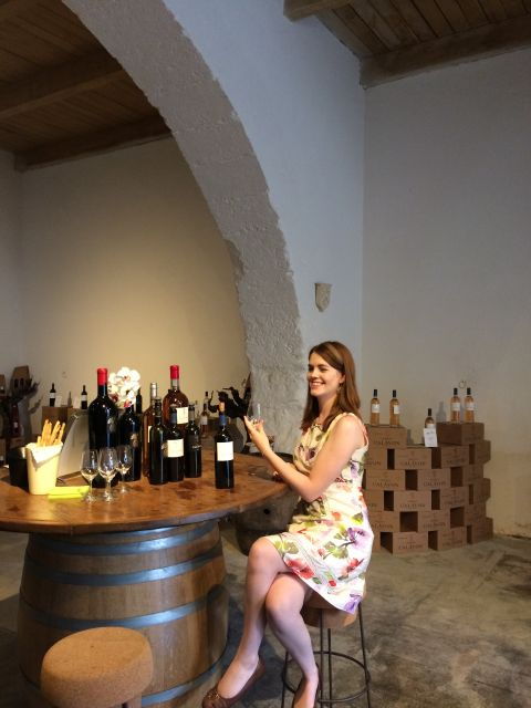 aix-en-provence-half-day-wine-tour-in-coteaux-daix
