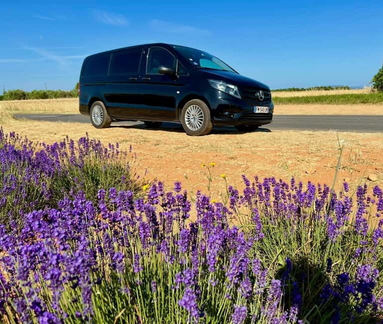 Aix en Provence: Lavender Fields & LOccitane Factory - What’s Included and What to Keep in Mind