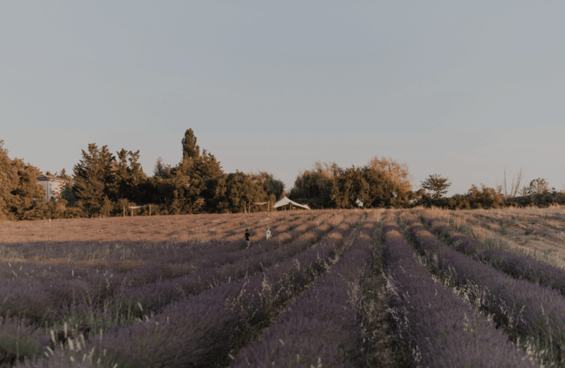 Aix-en-Provence: Lavender Fields Visit - Frequently Asked Questions