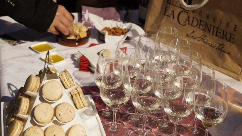 aix-en-provence-medieval-village-art-and-vineyards
