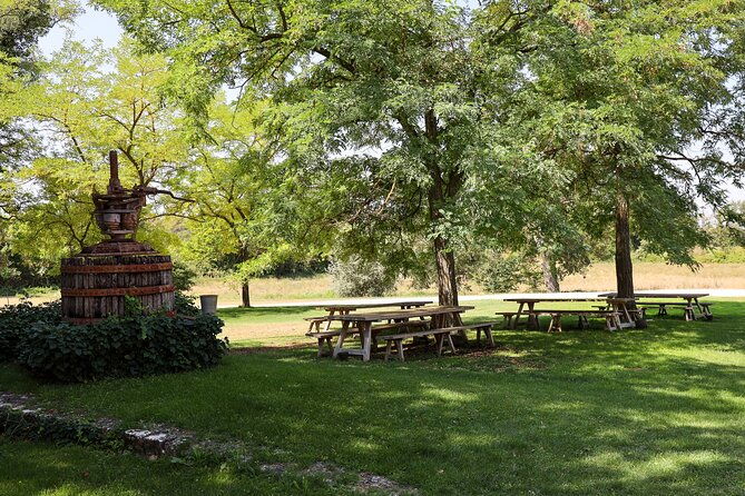 aix-en-provence-old-town-wine-art-of-chateaux-beaupre-bonisson-private-tour