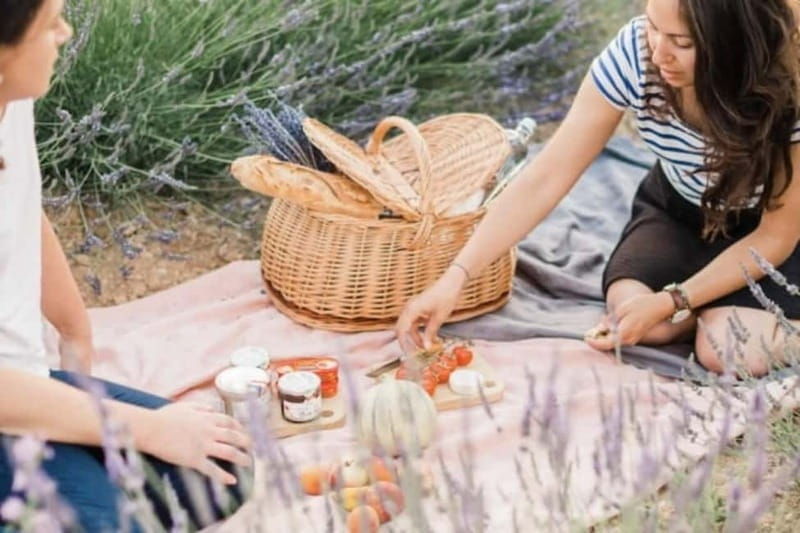 Aix-en-Provence: Visit to a lavender field + snacks - What Reviewers Say