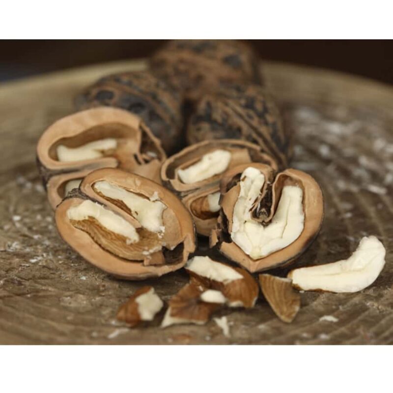 Aizu: Traditional Snowshoe Trek & Local Walnut Soba - Final Thoughts