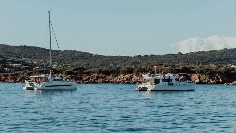 Ajaccio: Catamaran Trip to Arone Beach - The Experience from Past Travelers