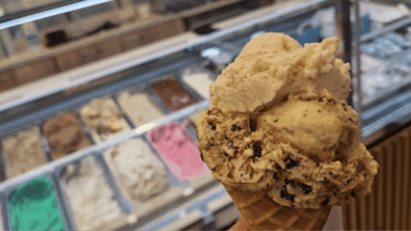 ajaccio-or-bastia-gourmet-food-tour-enjoy-corsicas-flavors