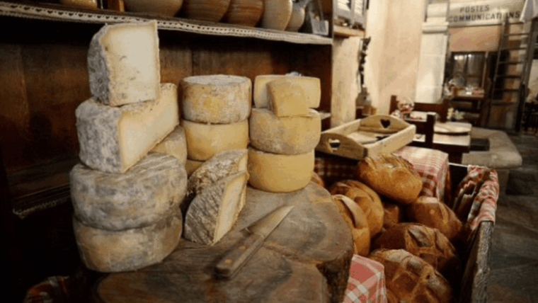 ajaccio-or-bastia-gourmet-food-tour-enjoy-corsicas-flavors