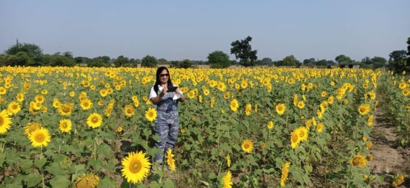 Ajanta and Ellora 2-Day Private Guided Tour from Aurangabad - Is This Tour Worth the Cost?
