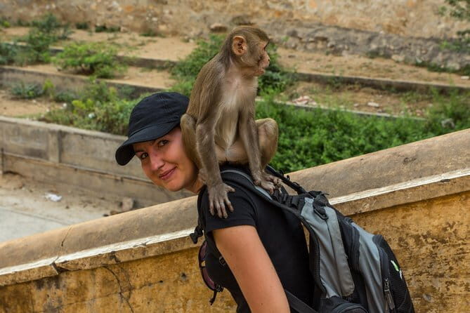 Ajmer Pushkar Same Day Tour By Private Car - Who Will Love This Tour?