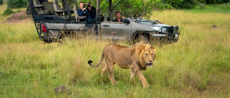 Akagera National Park: Game Drive with Optional Transfers - The Experience in Detail
