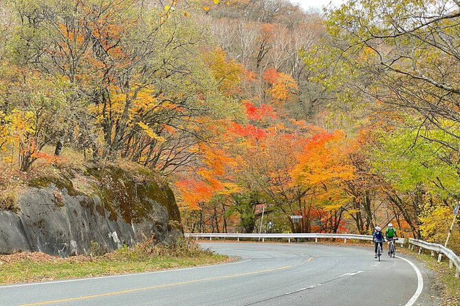 akagi-mountain-e-bike-hill-climbing-tour