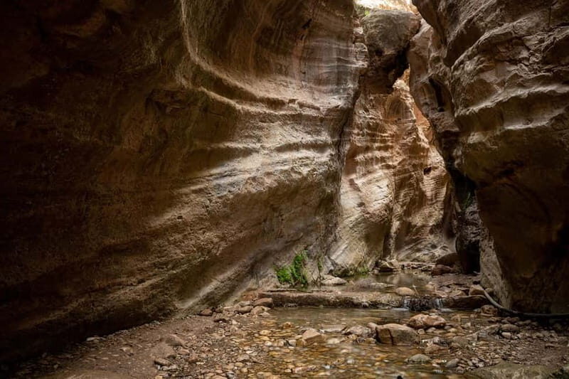 Akamas Jeep Safari Tour from Paphos - Key Points