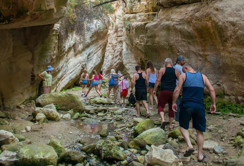 Akamas Jeep Safari Tour from Paphos - An Authentic Look at the Akamas Jeep Safari