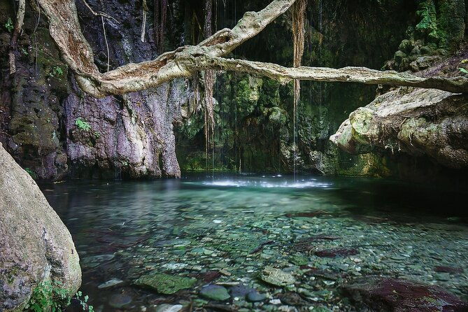 akamas-with-baths-of-aphrodite-and-blue-lagoon-day-tour-in-paphos-2