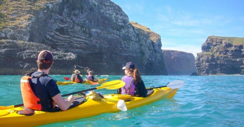 Akaroa: 4WD Safari and Guided Sea-Kayaking Experience - Key Points