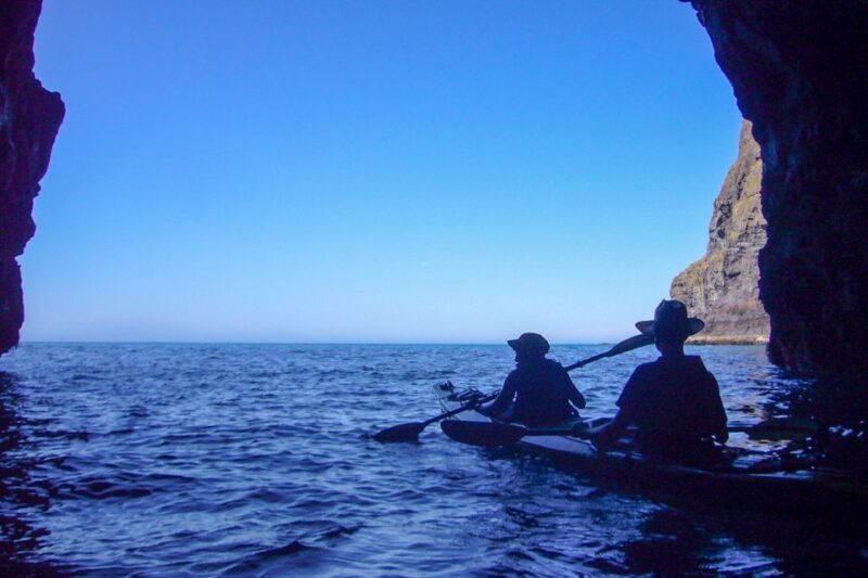 Akaroa: 4WD Safari and Guided Sea-Kayaking Experience - Practical Considerations