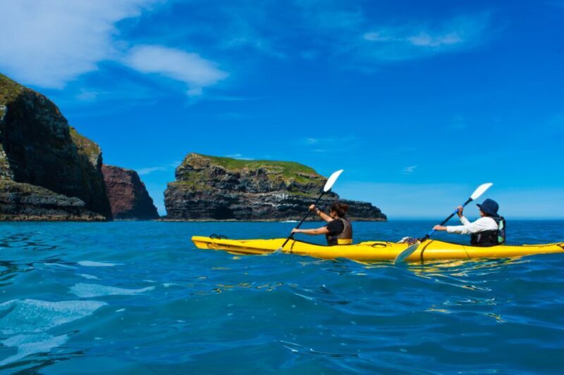 Akaroa: 4WD Safari and Guided Sea-Kayaking Experience - The Conservation Impact and Real-Life Experiences