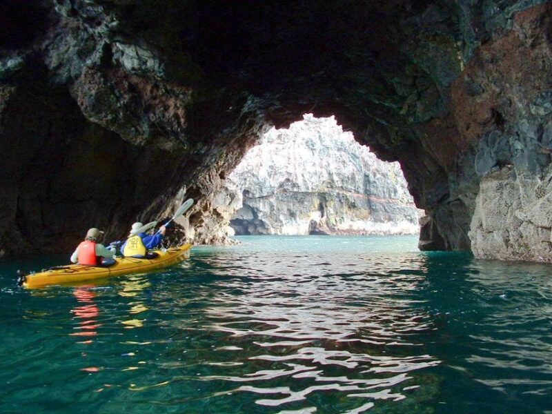 Akaroa: 4WD Safari and Guided Sea-Kayaking Experience - Who Should Consider This Tour?