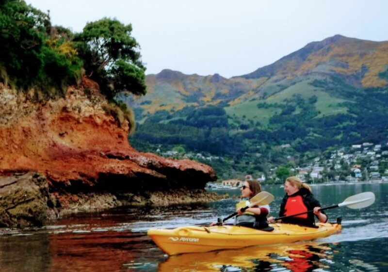 Akaroa: Akaroa Marine Reserve Sea Kayaking Tour - Key Points