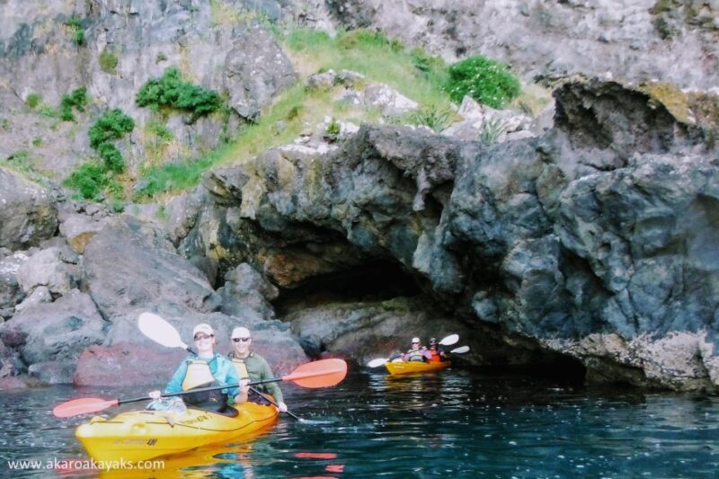Akaroa: Akaroa Marine Reserve Sea Kayaking Tour - Why We Love the Akaroa Marine Reserve Sea Kayaking Tour