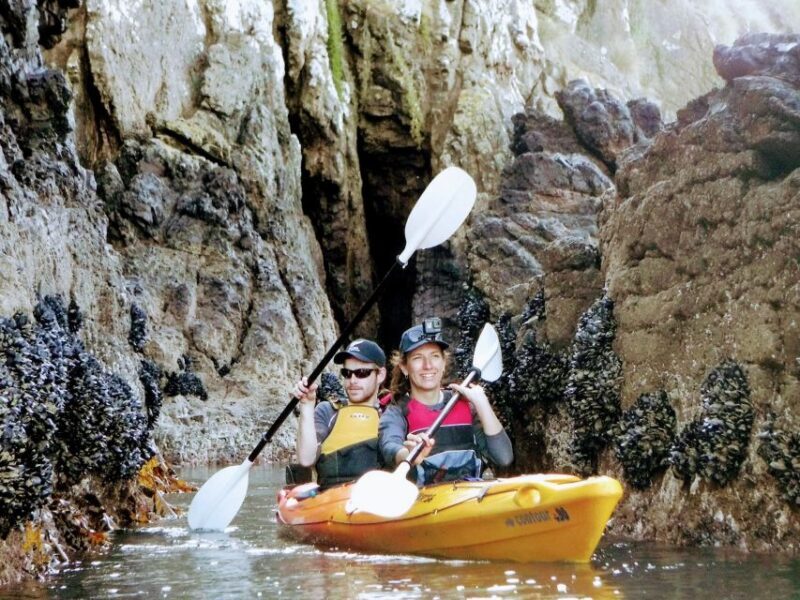 Akaroa: Akaroa Marine Reserve Sea Kayaking Tour - Value and Practical Considerations