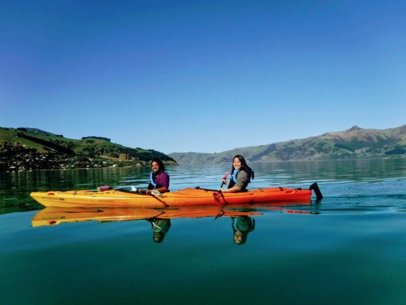 Akaroa: Akaroa Marine Reserve Sea Kayaking Tour - Insights from Reviewers