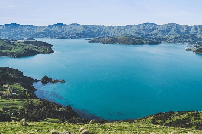 Akaroa and Akaroa Dolphins Day Tour - Comfort, Convenience, and Practicalities