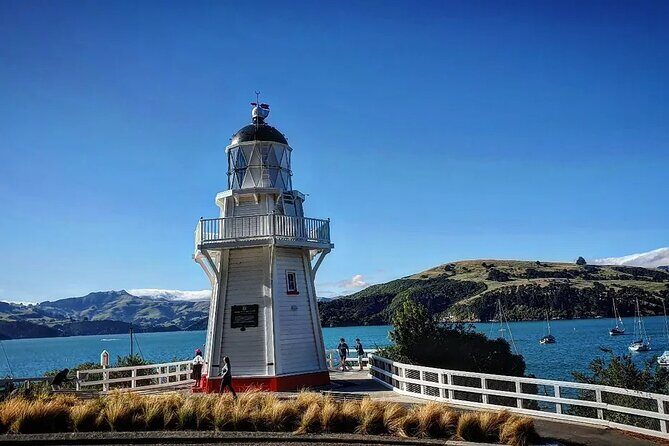 Akaroa and Akaroa Dolphins Day Tour - Who Will Love This Tour?
