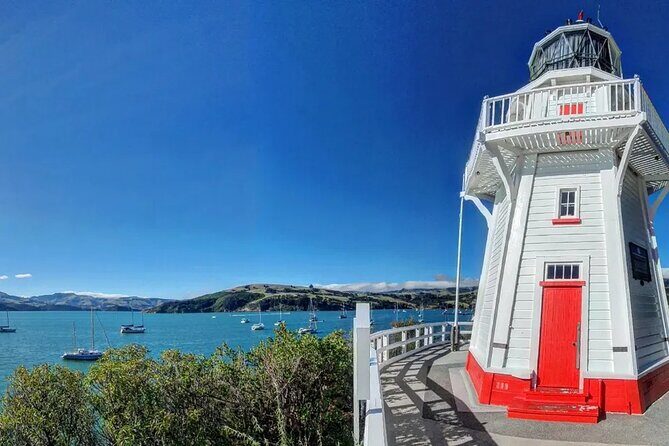 Akaroa and Akaroa Dolphins Day Tour - Final Thoughts