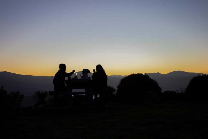 Akaroa: Astronomy Bites Tour with 3 telescopes and platter - Practicalities and Value