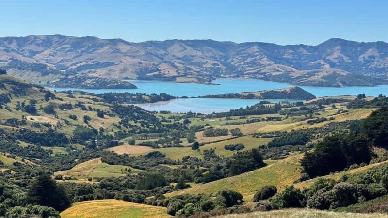 Akaroa Day Tour From Christchurch - What Makes This Tour Stand Out?
