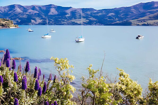 Akaroa Day Tour from christchurch Return - The Scenic Drive: Christchurch to Akaroa  
