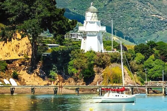 Akaroa Day Tour from christchurch Return - Wildlife Encounters: Optional Harbor Cruise  