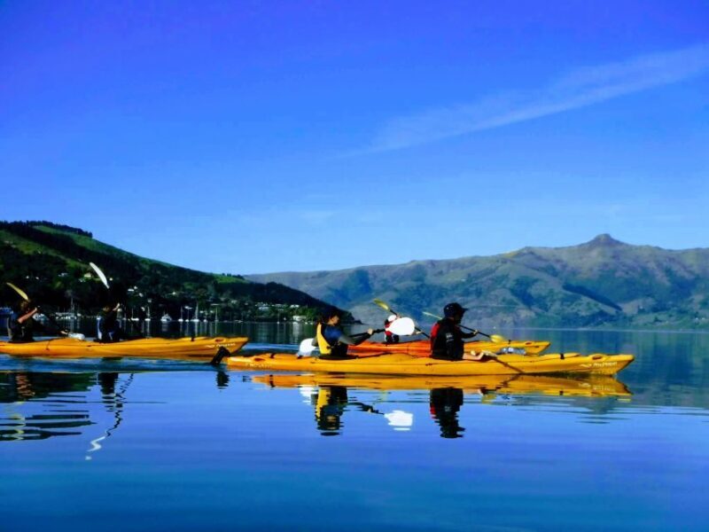 Akaroa: Electric Mountain Bike and Sea Kayak Adventure - Key Points
