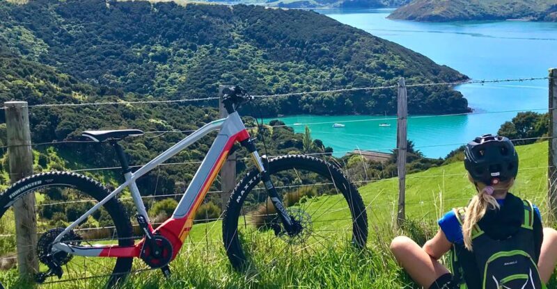 Akaroa: Guided Electric Mountain Bike Tour-Lava Loop - Pricing & Value