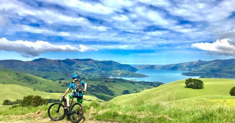 Akaroa: Guided Electric Mountain Bike Tour-Lava Loop - Who Will Love This Tour?