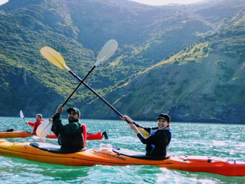 Akaroa: Guided Sunrise Sea Kayaking Tour - Setting the Scene: What to Expect on the Sunrise Kayaking Tour